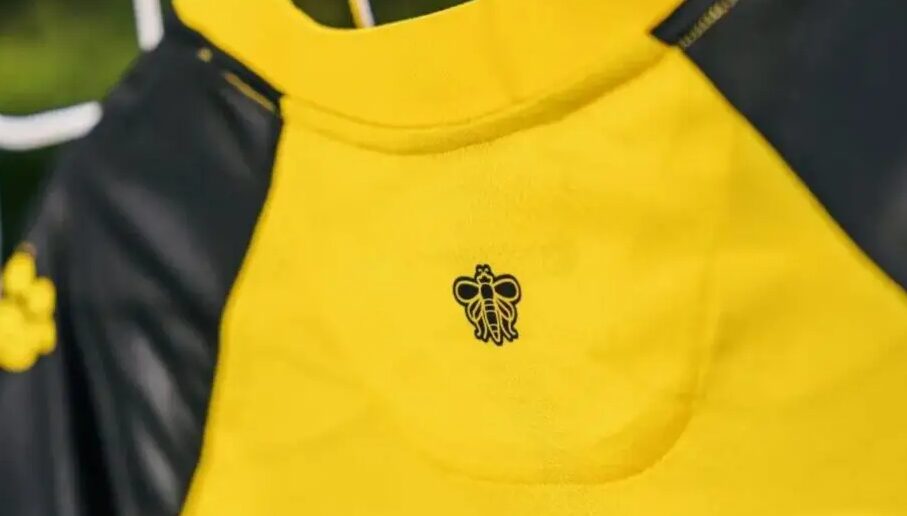 You are currently viewing Jasa Konveksi Jersey